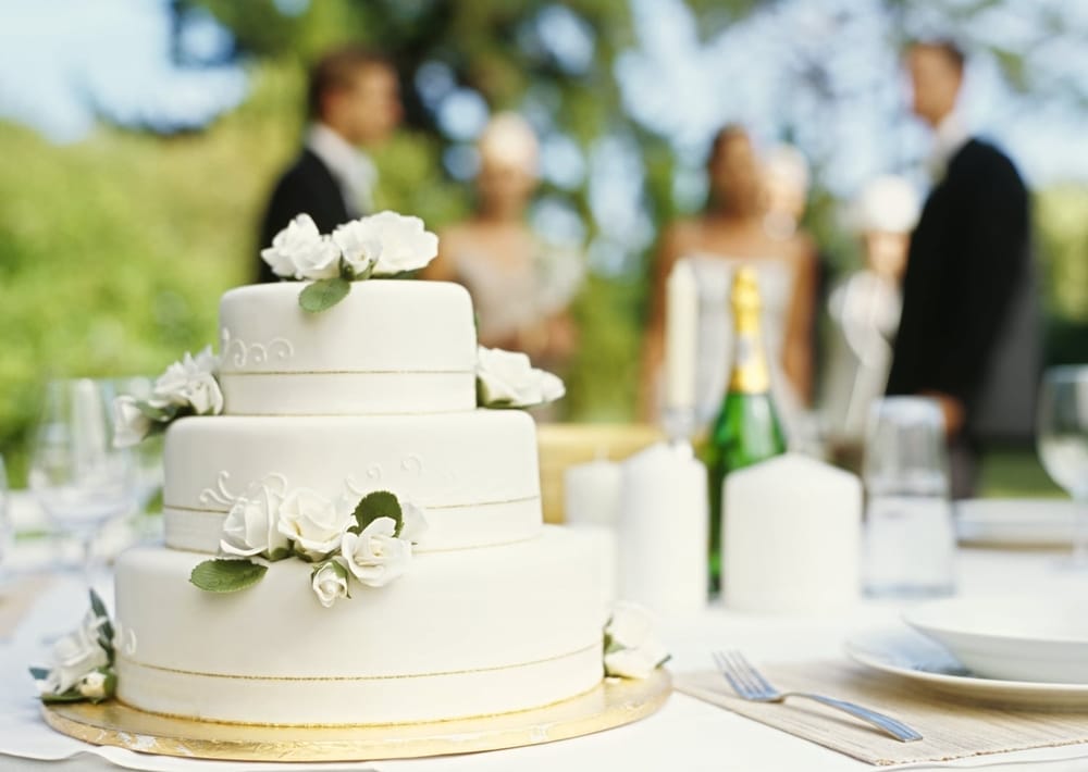 Photo of Tara M. Events