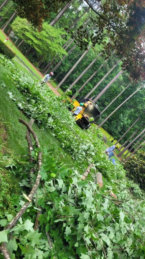 Photo of MJ Navarro Landscaping