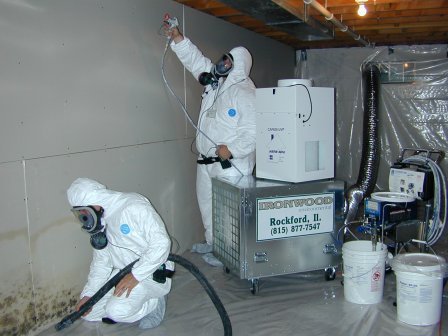 Photo of Ironwood Environmental
