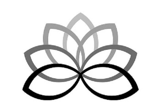 Photo of Colopy Corp