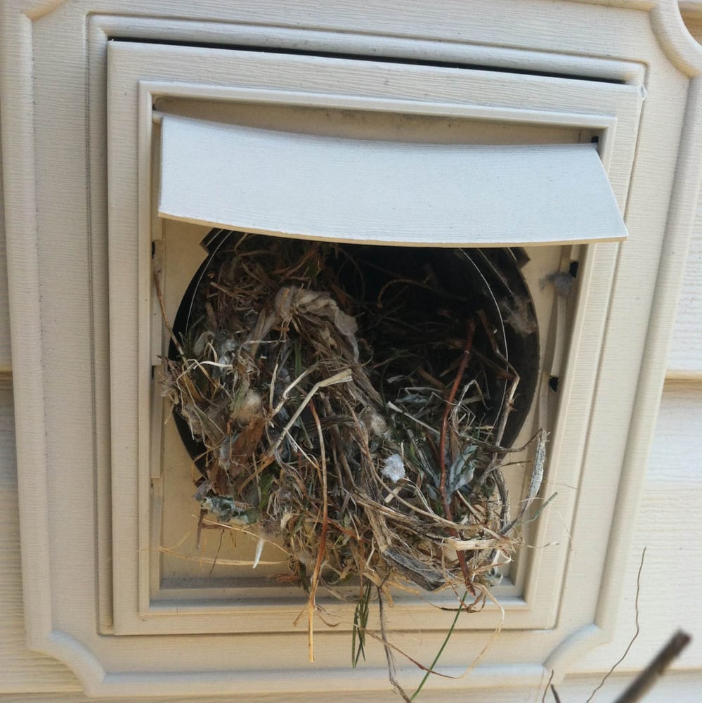 Photo of Dryer Duct Pros