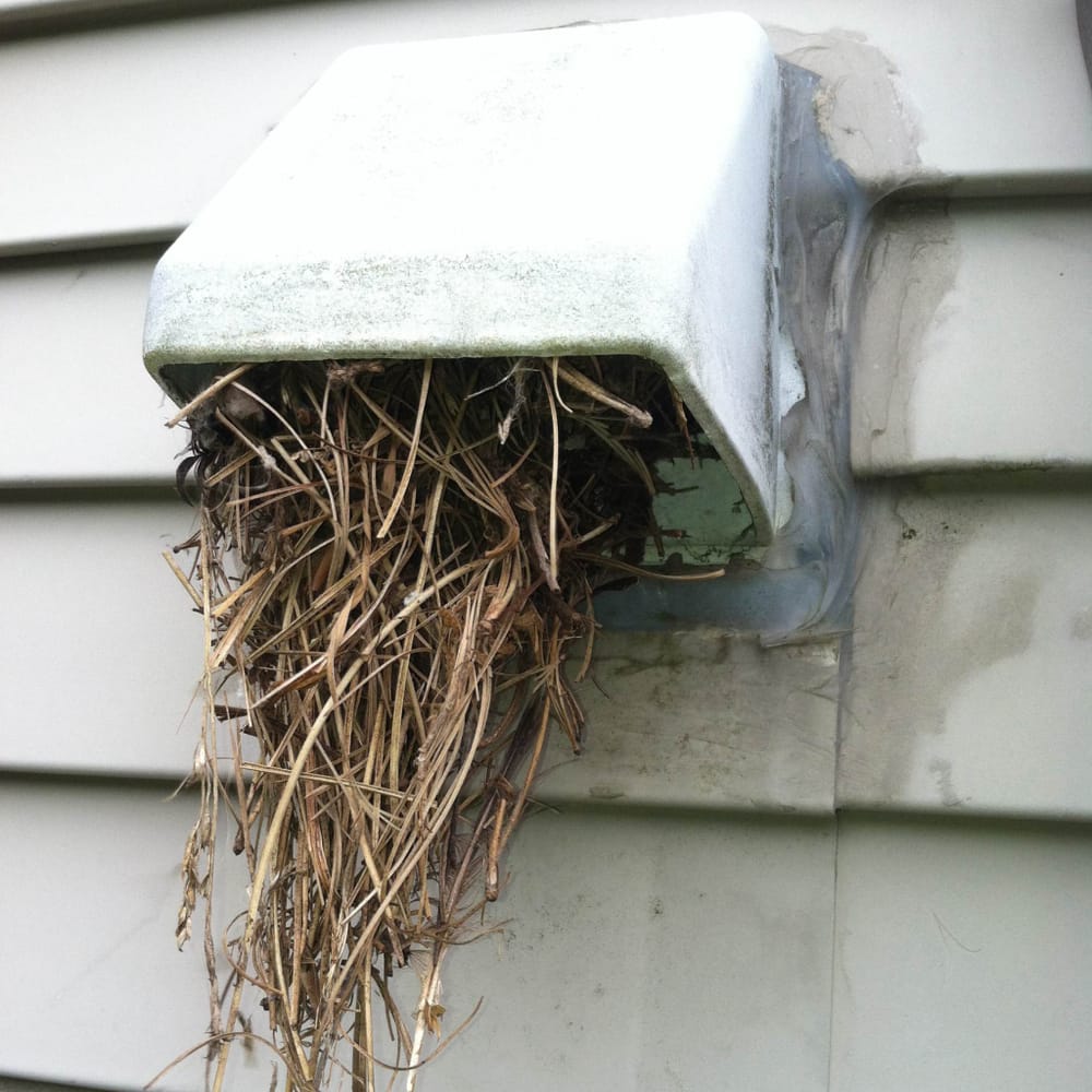 Photo of Dryer Duct Pros