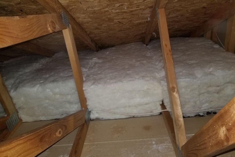 Photo of Attic Green