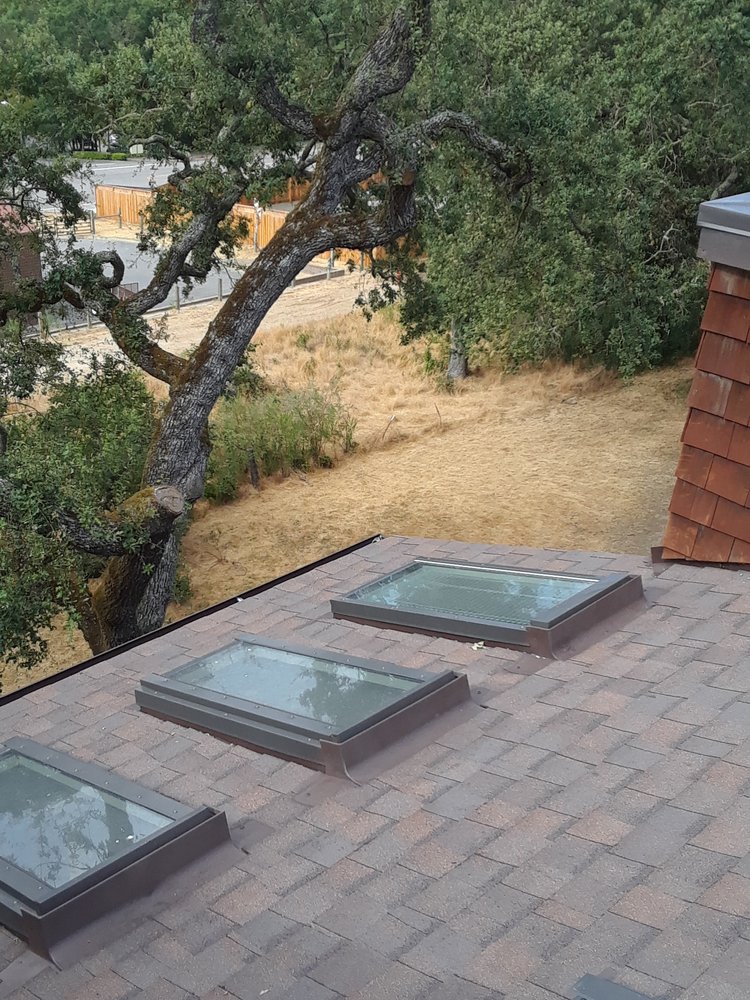 Photo of True Vision Window Cleaning Services