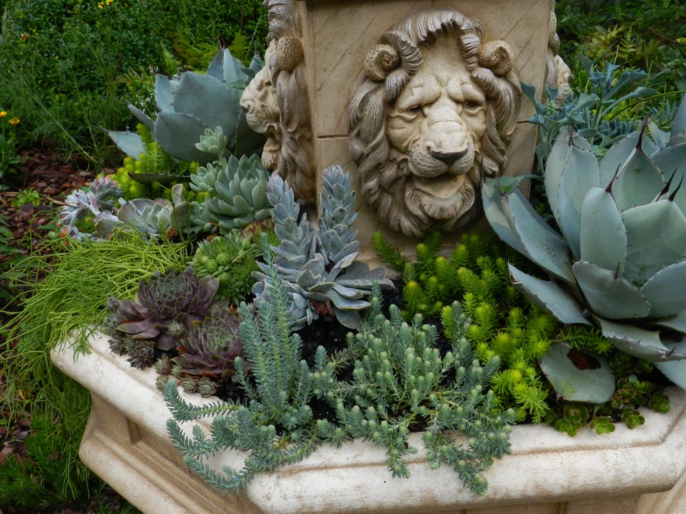 Photo of CreativeSpaces Landscape Design