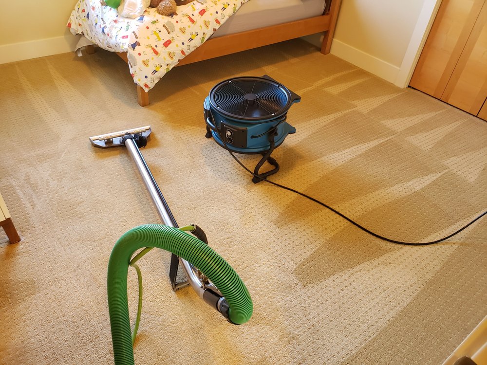 Photo of Hydra Clean Northwest
