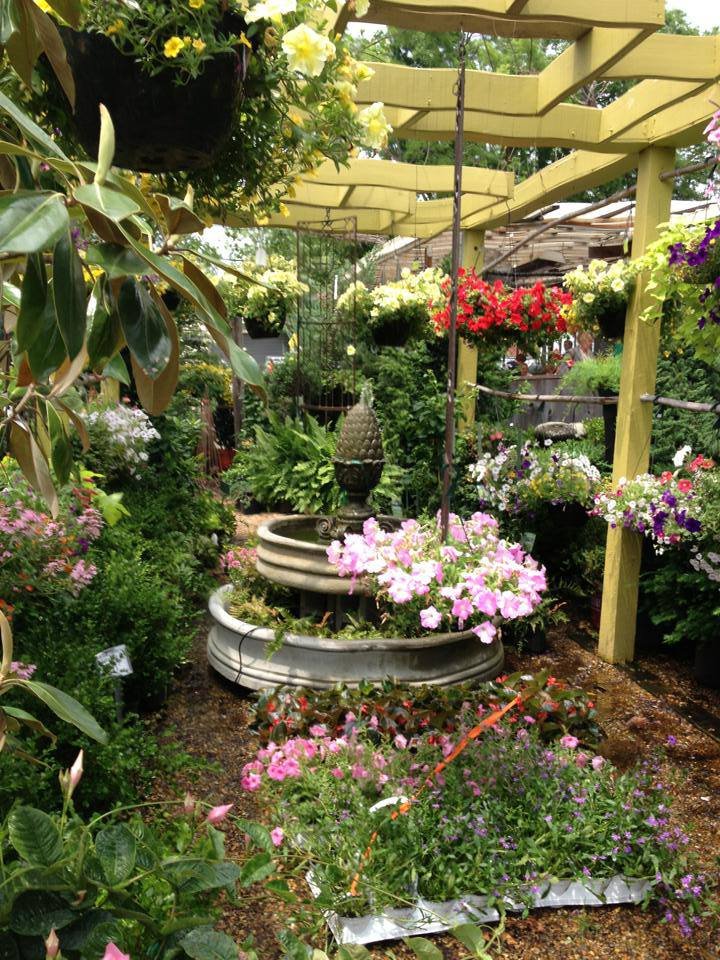 Photo of Botanica Gardens
