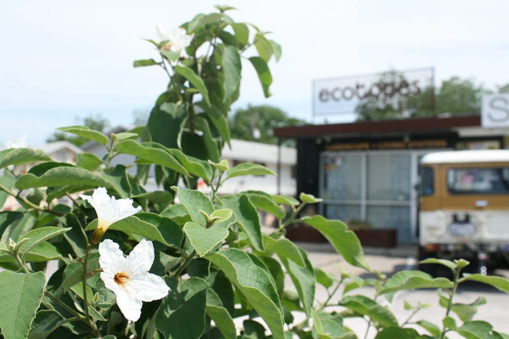 Photo of Ecotopes
