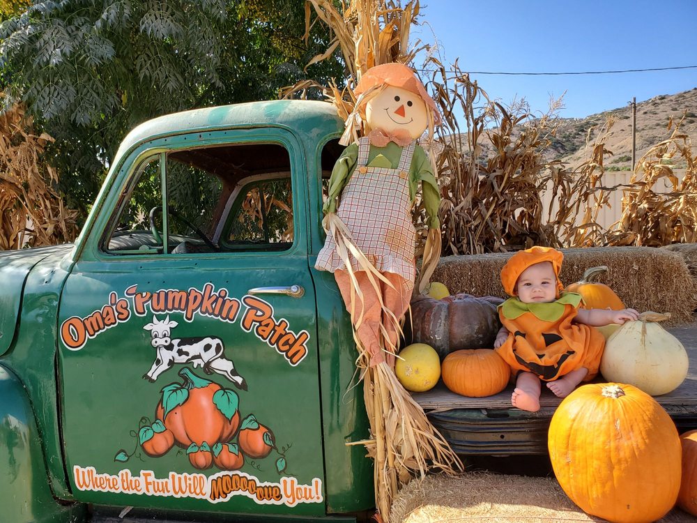 Photo of Oma's Family Farm