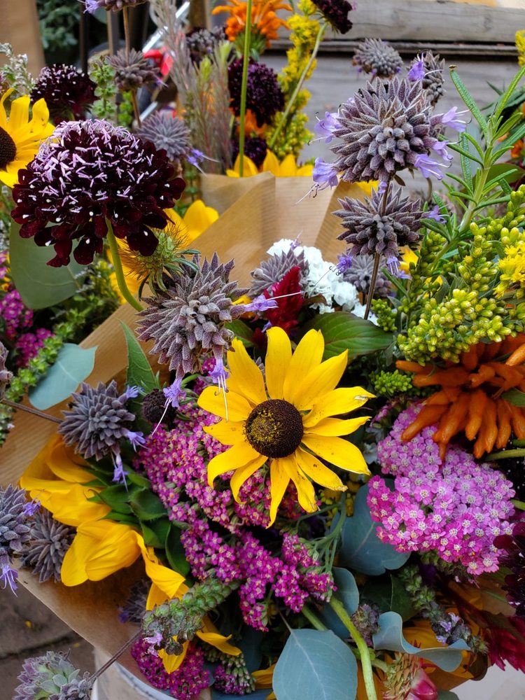 Photo of Inecui Flowers