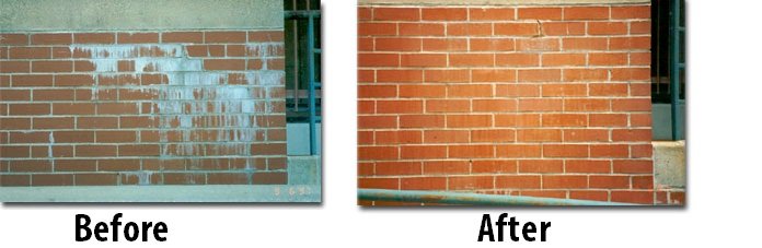Photo of MKE Property Detailing & Pressure Washing