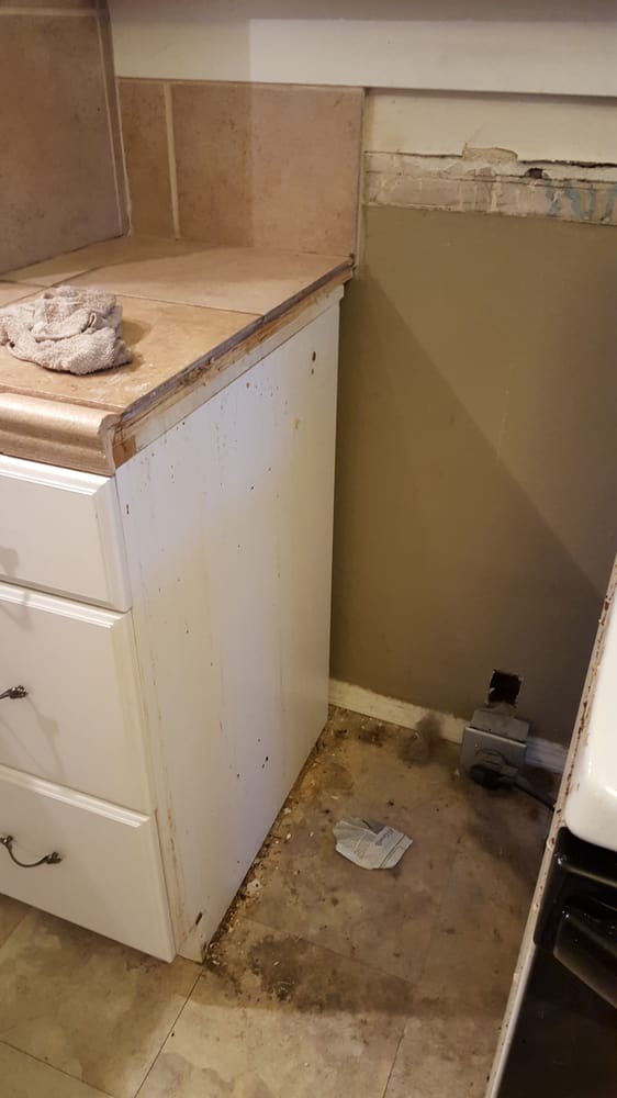 Photo of Cleanspace Cleaning Services