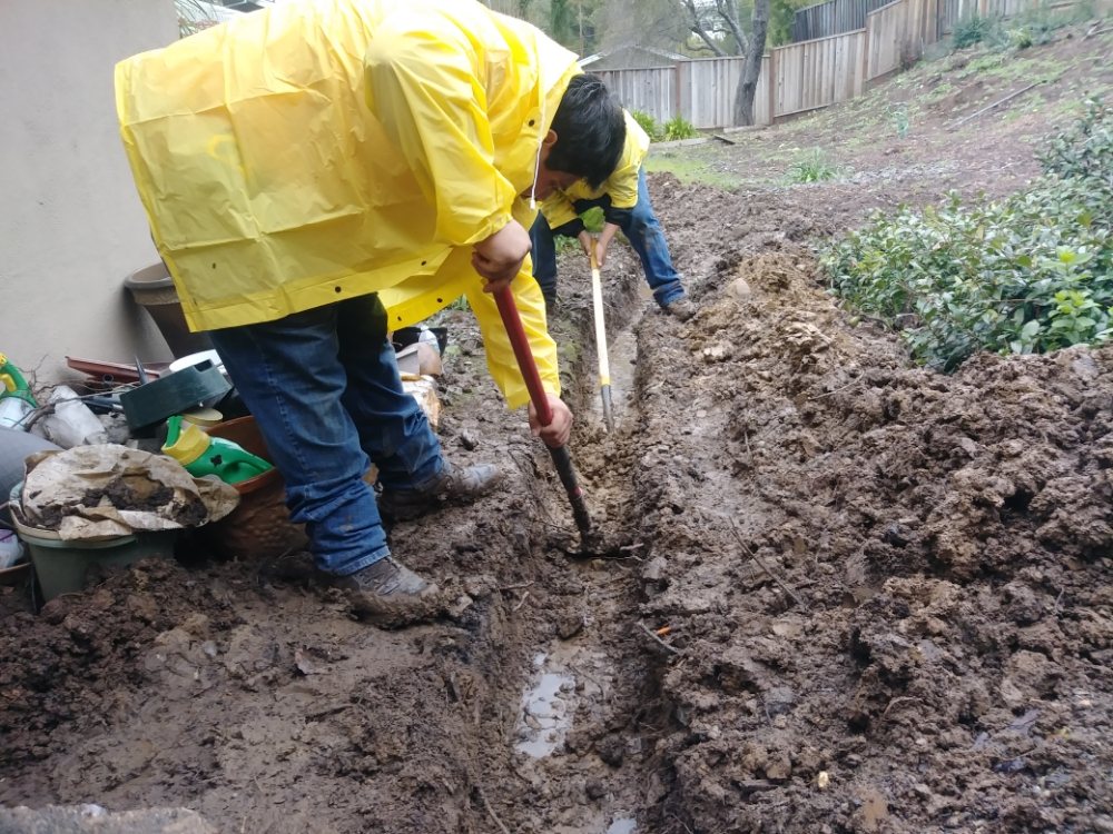 Photo of Castello Landscape Construction