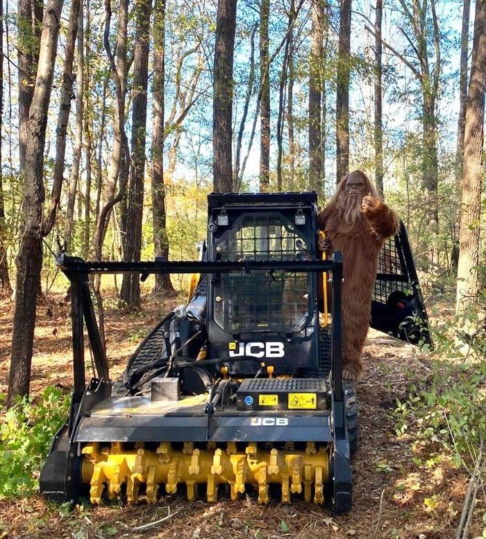 Photo of Bigfoot Forestry