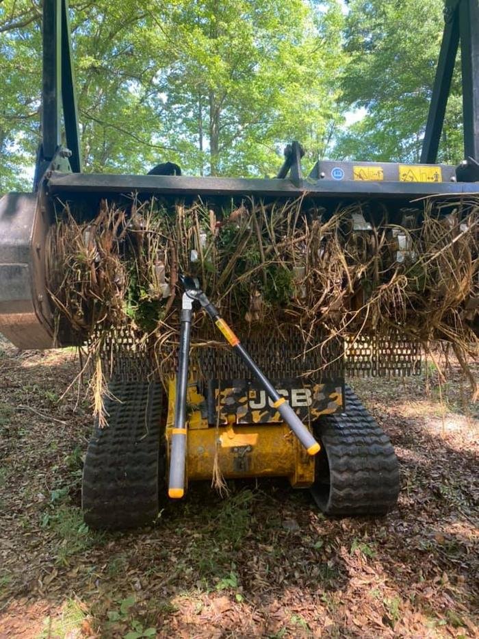 Photo of Bigfoot Forestry