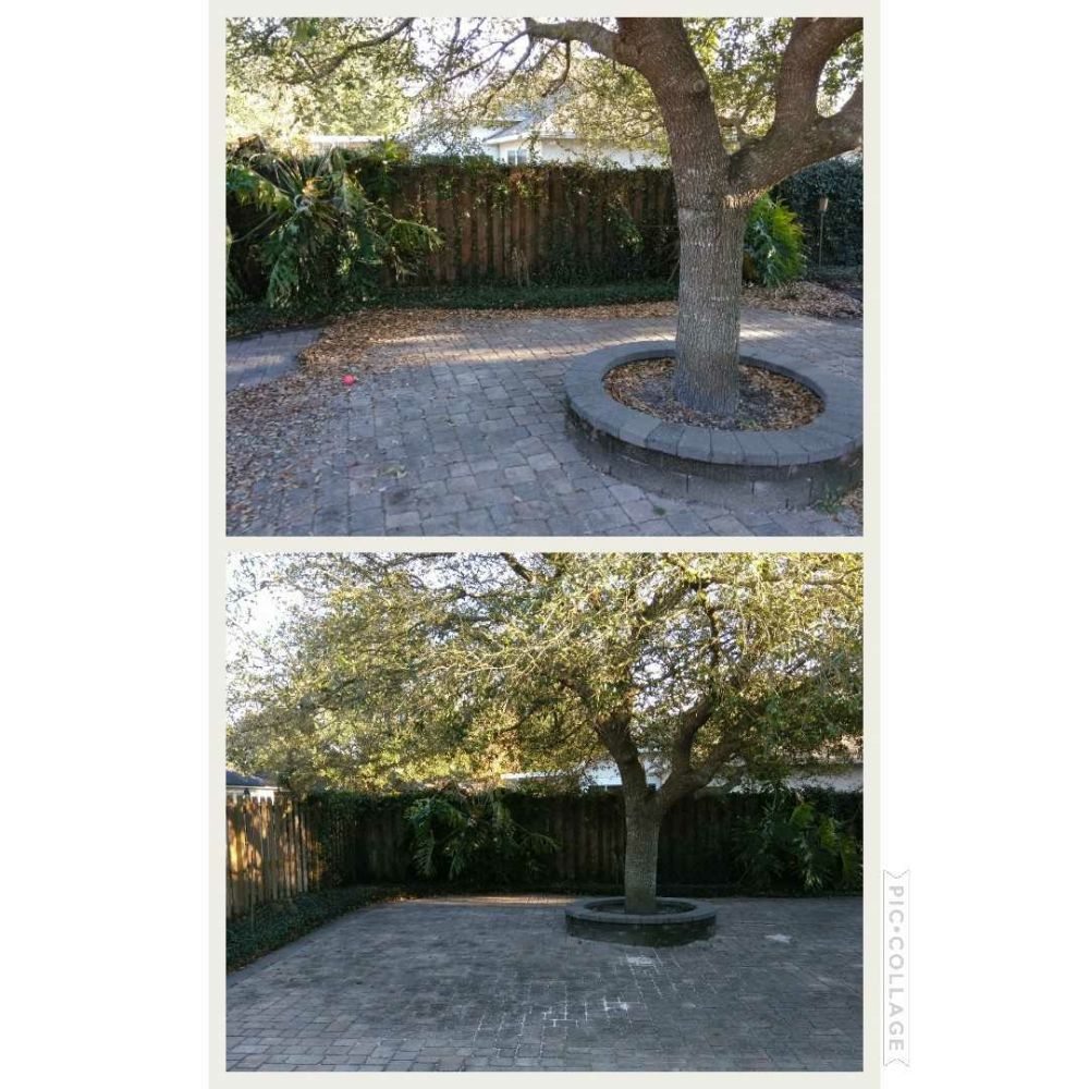 Photo of Candler lawn Service