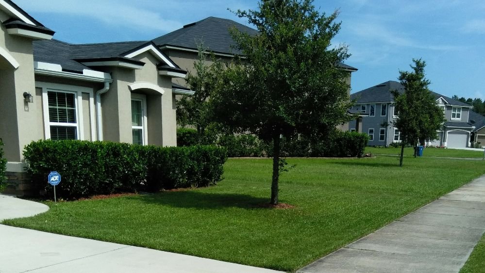 Photo of Candler lawn Service