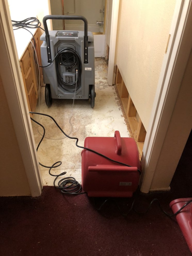 Photo of Intelligence Emergency Restoration