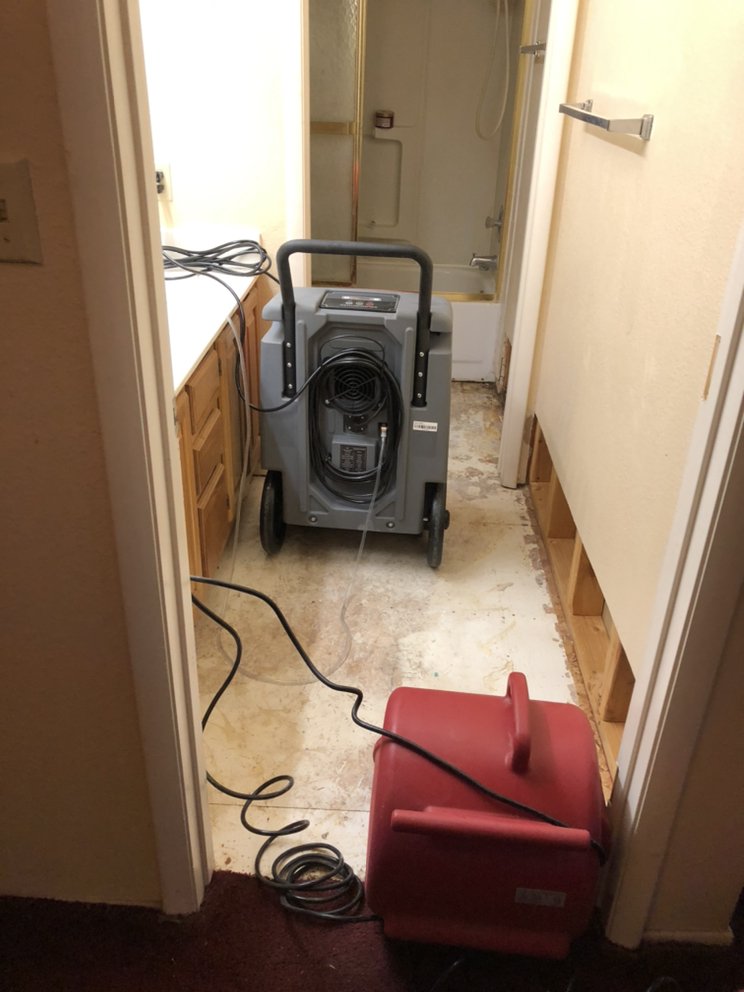 Photo of Intelligence Emergency Restoration
