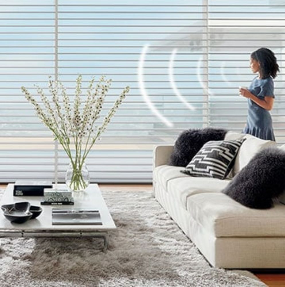 Photo of Hunter Douglas Blinds