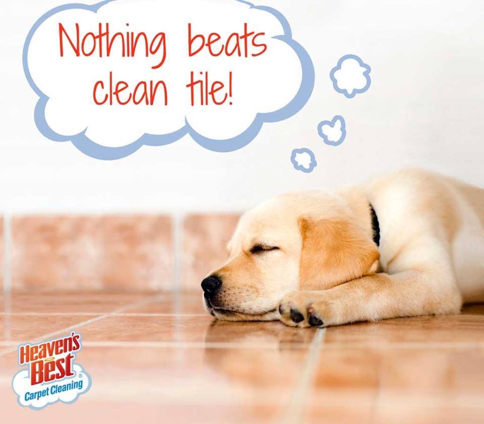 Photo of Heaven's Best Carpet Cleaning