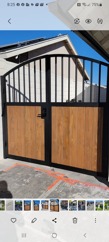 Photo of Mex Iron Artwork