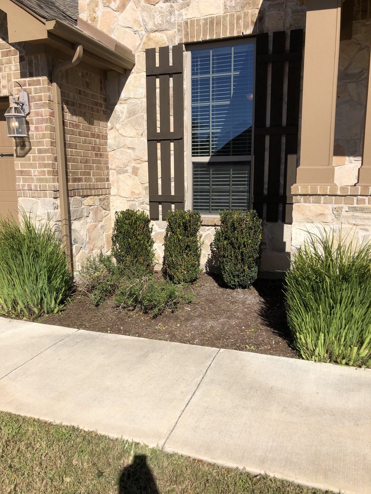 Photo of Century Lawn and Landscape