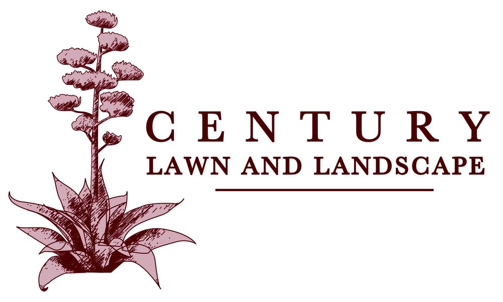 Photo of Century Lawn and Landscape