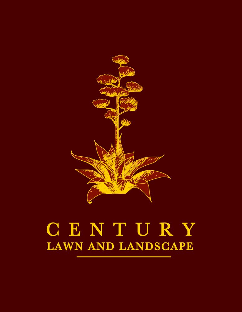 Photo of Century Lawn and Landscape