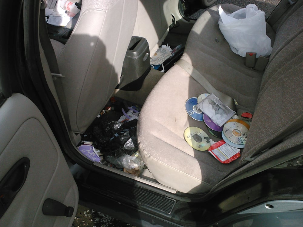 Photo of Cal & His Dog Spot Auto Detailing