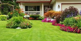 Photo of Lockwood Lawn Maintenance