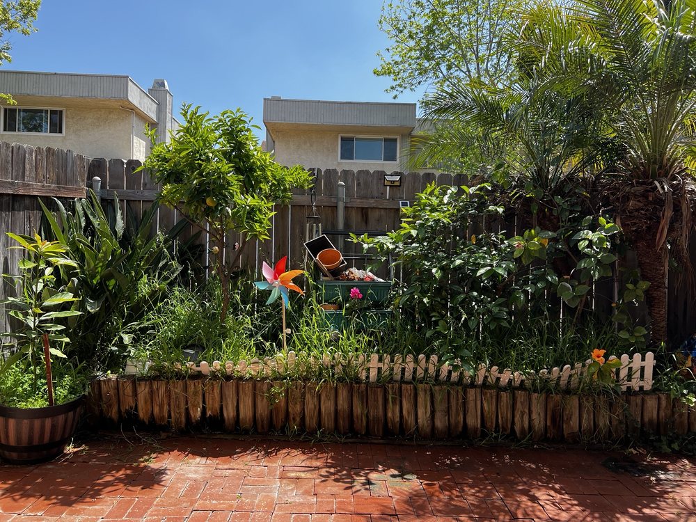 Photo of Pilo Landscaping and Maintenance