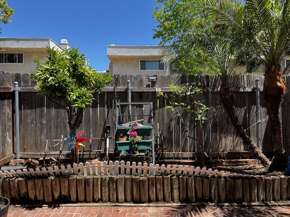 Photo of Pilo Landscaping and Maintenance