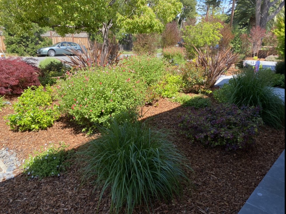 Photo of Grimes Natural Landscape