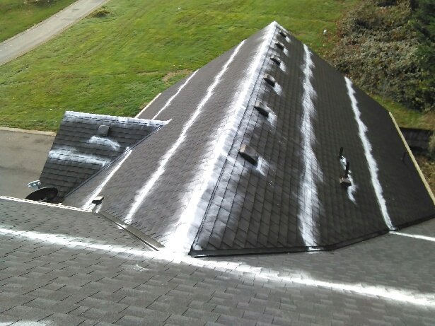Photo of Salmon Bay Window Cleaning