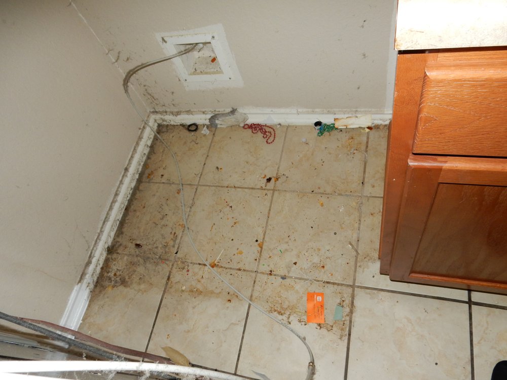 Photo of DeLaney Realty