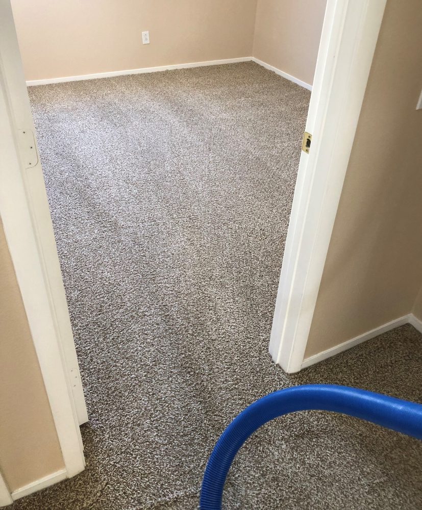 Photo of Green Source Carpet Care