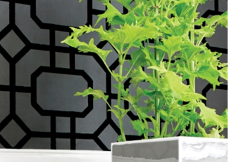 Photo of Rachel Brosky Interiors