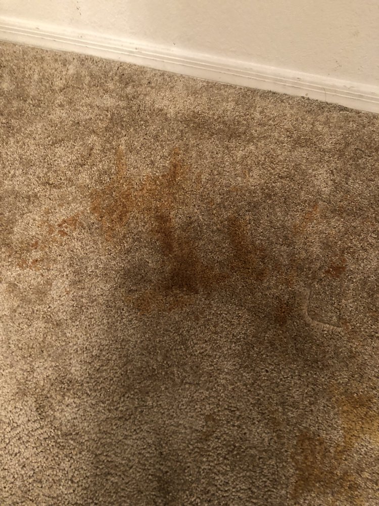 Photo of Red Brick Property Management