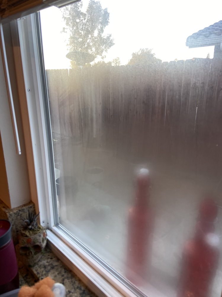 Photo of Next Level Glass