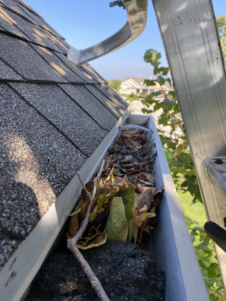 Photo of Lakeshore Gutter Cleaning