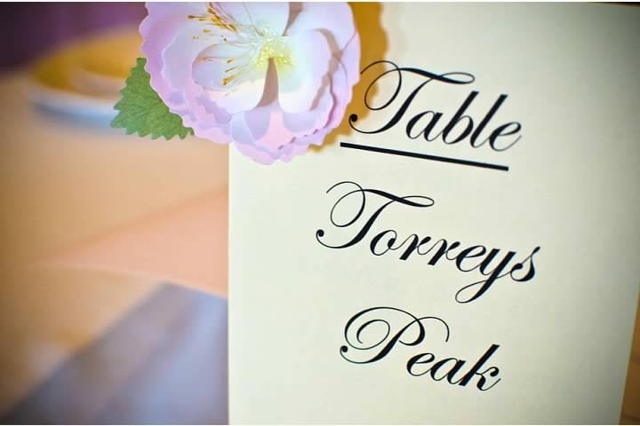 Photo of White Bird Events
