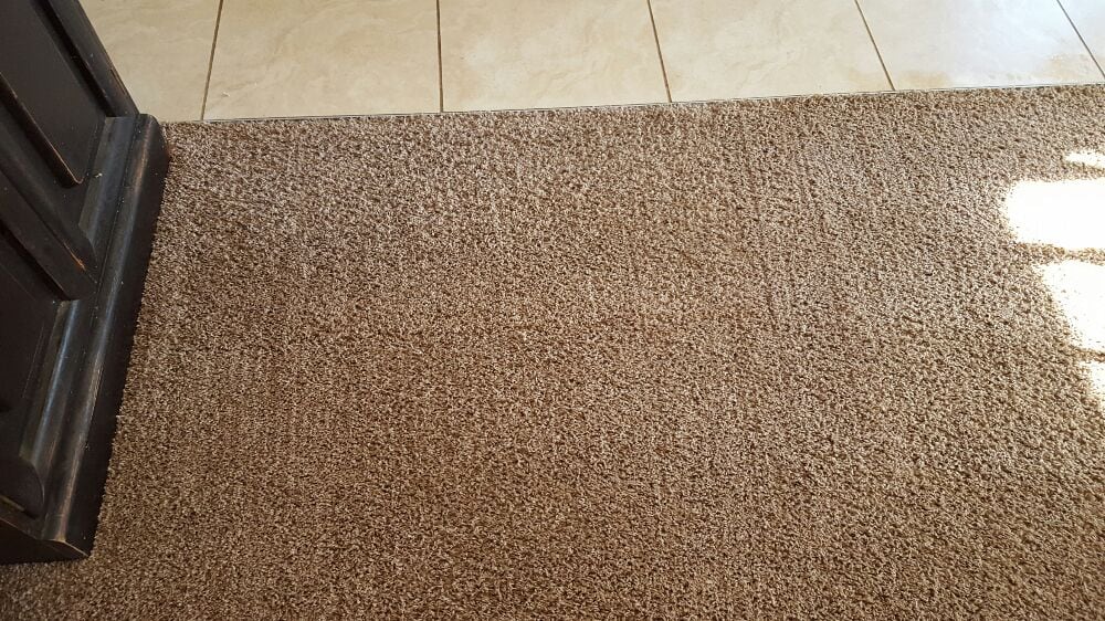 Photo of Absolute Carpet Care & Repair