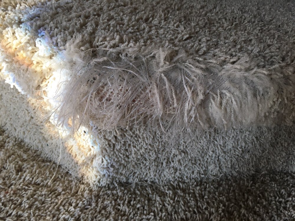 Photo of Absolute Carpet Care & Repair