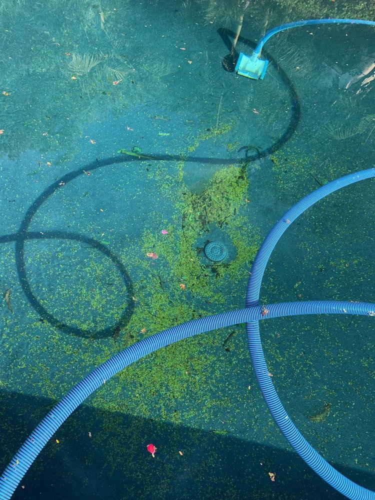 Photo of Discount Pool Supply