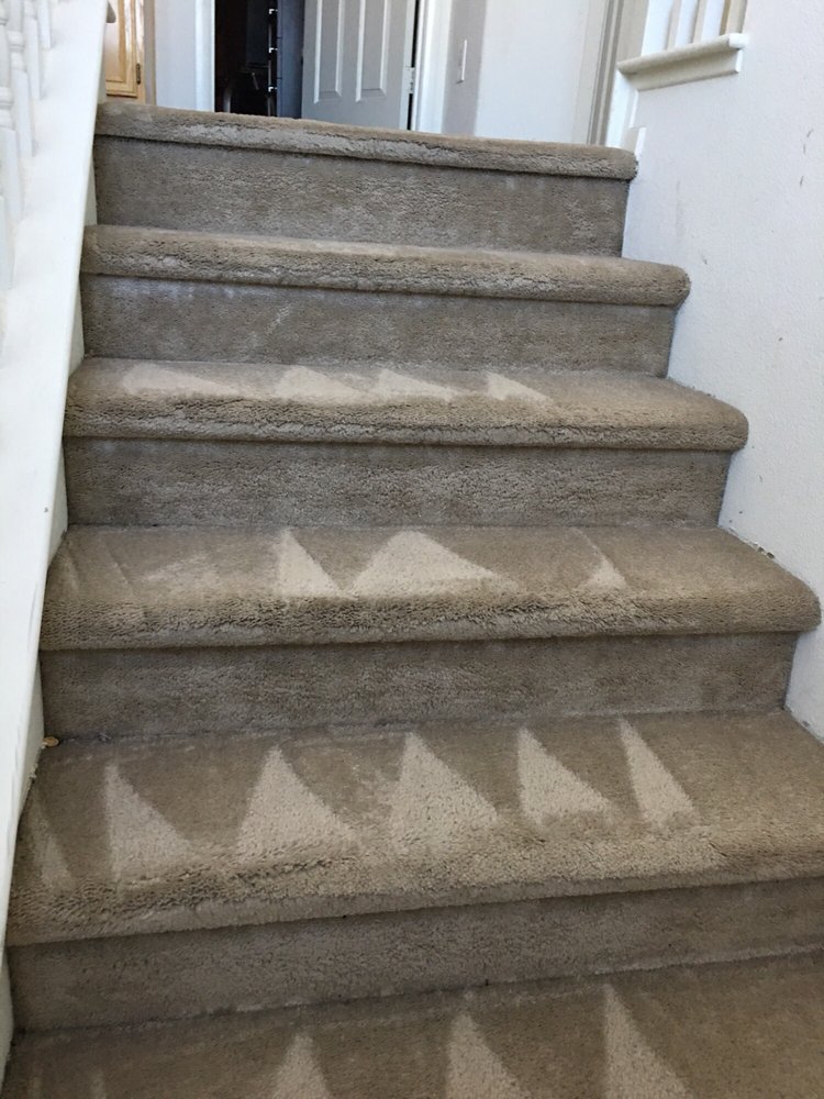 Photo of Eco Friend Carpet Clean