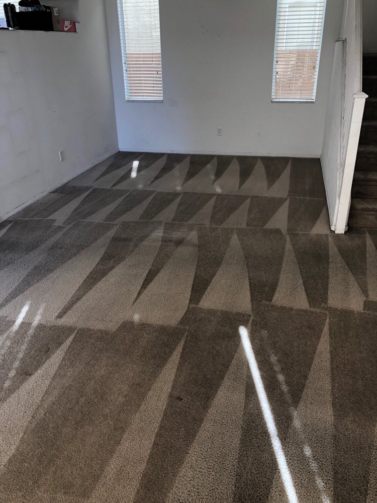 Photo of Eco Friend Carpet Clean