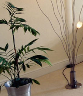 Photo of Kemper Carpet Care
