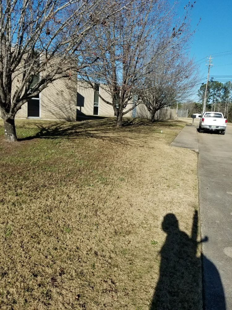 Photo of Hector Lawn Care