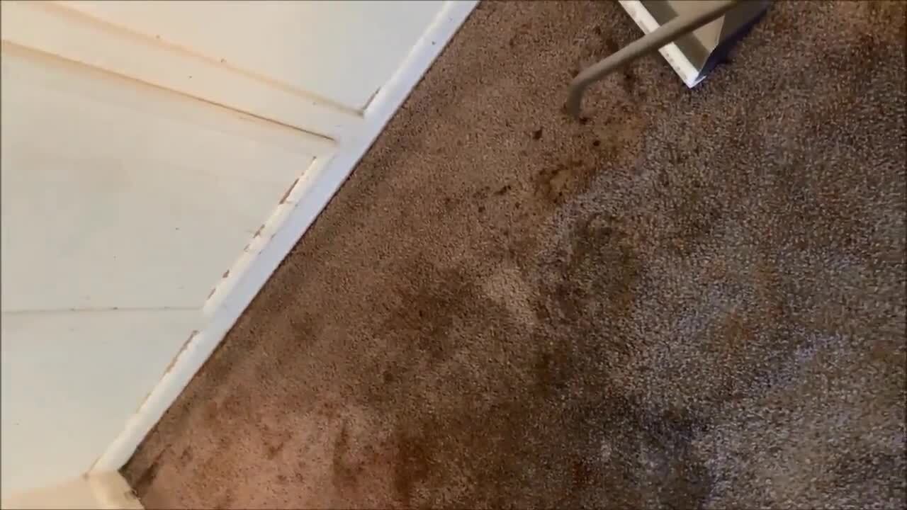 Photo of Best Deal Steam Carpet Cleaning of Katy